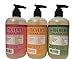 Mrs. MEYER'S CLEAN DAY Holiday Hand Soap Bundle (Peppermint, Iowa Pine, and Orange Clove) 12.5 Ounces each