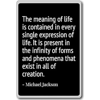 The meaning of life is contained in every s... - Michael Jackson quotes fridge magnet, Black