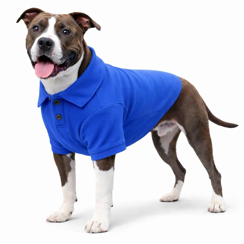 lovelonglong Basic Dog Polo Shirts Premium Cotton, Polo T-Shirts for Large Medium Small Dogs with a Two-button Collar Blank Color Blue L