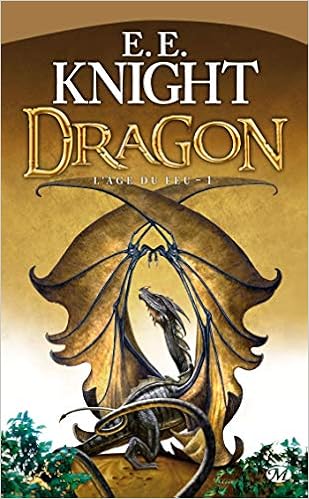 Amazon Fr L Age Du Feu Tome 1 Dragon Knight E E Jean Baptiste Bernet Livres