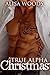 A Christmas Wish (Dot Com Wolves 3) - New Adult Paranormal Romance