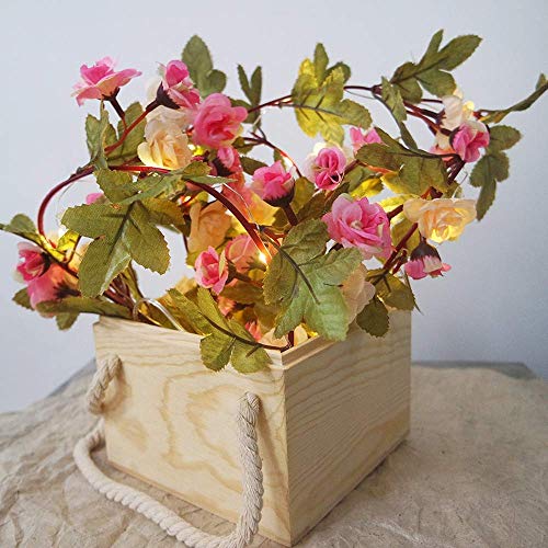 Hecaty 2 Strands Artificial Rose Garland Silk Flowers Hanging Rose Vine with 16ft Led String for Wedding Home Party Event Wreath Decor (Pink&Champagne)