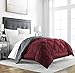 Sleep Restoration King/Cal Comforter - Reversible, Cooling, Lightweight Summer Down Alternative - Hotel Quality Bedding - Burgundy/Grey, All Seasons Size