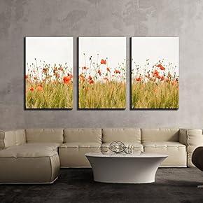 3 Piece Canvas Wall Art - Closeup of Red Flower Field - Modern Home Art Stretched and Framed Ready to Hang - 16"x24"x3 Panels