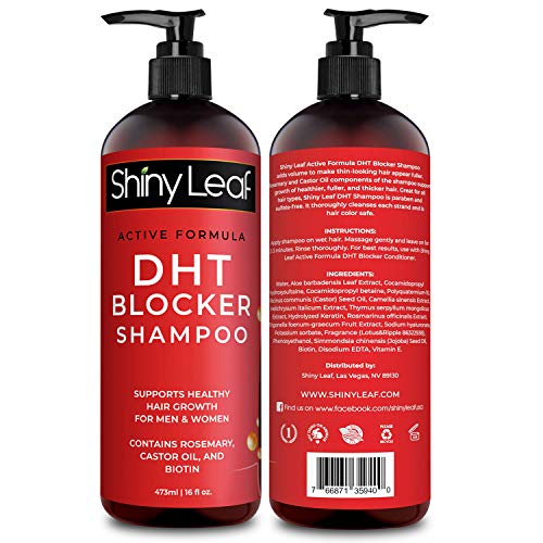 DHT Blocker Anti-Hair Loss Shampoo With Biotin, for Men & Women, Sulfate Free, Natural DHT Blocking Shampoo for Hair Growth, For Thinning Hair, Hair Fall and Hair Loss Prevention, Active Formula 16 Oz