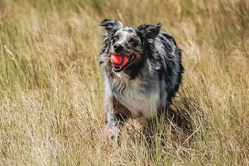 Ultra Balls Taille Moyenne- Lot de 2 Suitable for all breeds of dog