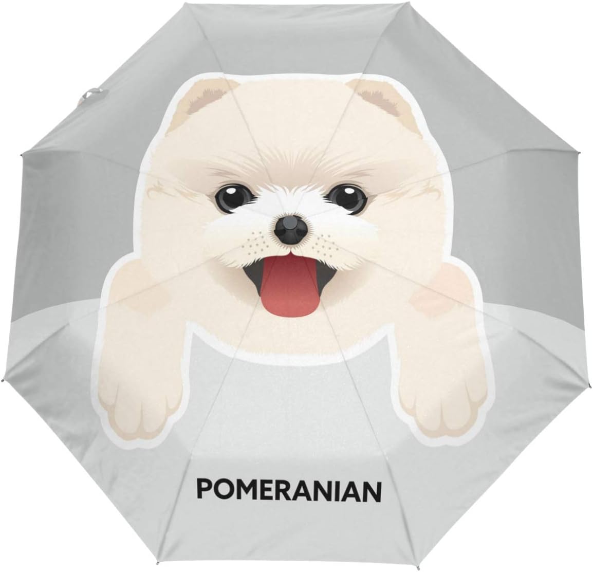 Pomeranian Dog Umbrella Cute Puppy Auto Umbrella Open Close