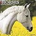Just Horses 2020 Wall Calendar by