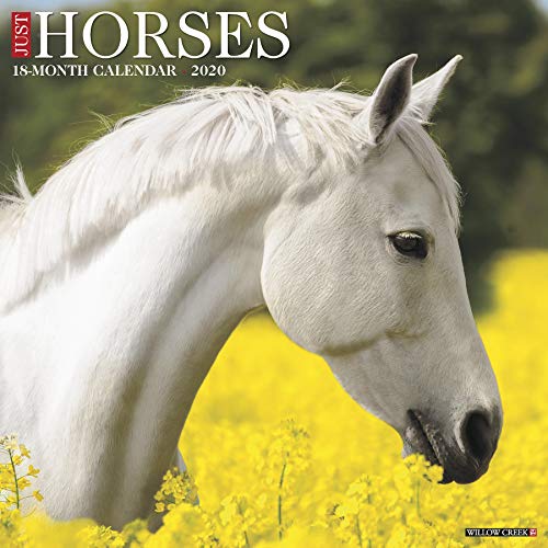 Just Horses 2020 Wall Calendar by