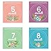 Monthly Baby Stickers | Waterproof Newborn Boys Girls Milestone Stickers | PAMBO Infant Age Belly Chalk Stickers | Scrapbook Photo Keepsake/Shower Gift Idea | 16in1