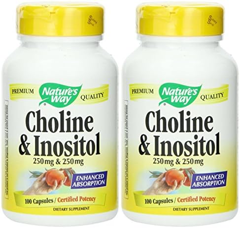Choline and Inositol - Nature's Way - 100 Capsules - Pack of 2
