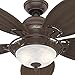 Hunter Fan Company Hunter 54095 Tropical/British Colonial 54``Ceiling Fan from Caribbean Breezeâ„¢ Collection Dark Finish, Weathered Bronze