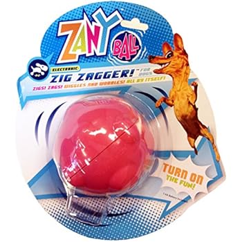R2P Group Zany Bunch Zany Ball - Wiggling, Jiggling, Electronic Dog Toy