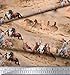 Soimoi Decorative 44 Inches Wide Pure Silk Brown Fabric Horse Printed Material by The Yard