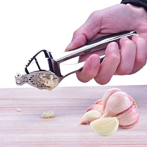 Garlic Press & Garlic Cleaning Brush - Stainless Steel Kitchen Garlic Tools - Garlic Keepers Innovative Oblique Holes and Pressure Garlic Opposite Inverted Thimble Design
