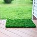 ZestyNest Artificial Grass Doormat with SmartDrain Technology - Welcome Door Mat for Entrance Way & Porch- Outdoors and Indoors (24X18 Inches)