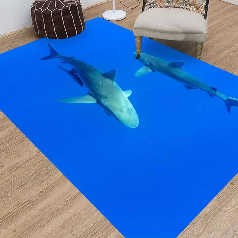 Jesmacti Rug Multi-Style Modern Interior Decoration Rug,Living Room Rug Rug, Sharks Hawaii Oahu Suitable for Living Room Bedroom Kindergarten Dormitory (3X5 Feet)