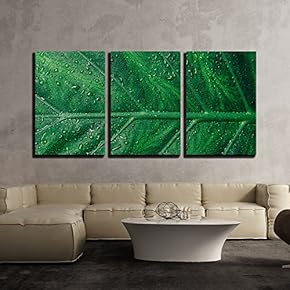 3 Piece Canvas Wall Art - Beautiful Green Leaf with Shiny Drops - Modern Home Art Stretched and Framed Ready to Hang - 16"x24"x3 Panels
