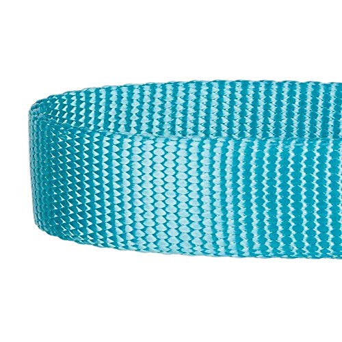 Blueberry Pet Essentials 22 Colors Classic Dog Collar, Turquoise, Large
