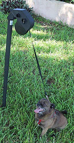 best backyard dog leash
