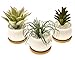 Stylish Ceramic Succulent Planters By EcoPlant - Modern Set Of 3 Mini Flower Pots With Practical Bamboo Draining Tray - Decorative Cactus Planter Pots - Elegant Ceramic Plant Pots For Home Decoration