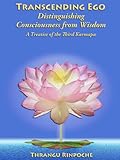 Transcending Ego: Distinguishing Consciousness from Wisdom