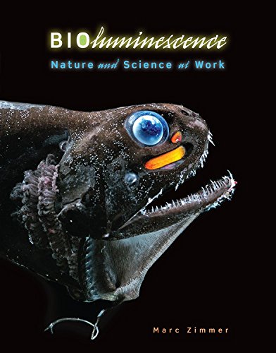 Download Bioluminescence: Nature and Science at Work (Nonfiction - Young Adult) Download Bioluminescence: Nature and Science at Work (Nonfiction - Young Adult)