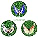 YUNLIGHTS 3pcs Garden Solar Lights Outdoor Garden Stake Lights Multi-Color Changing LED Fiber Optic Butterfly with Purple LED Light Stake for Garden Patio Backyard Decoration
