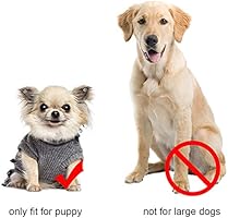 boots for dogs australia