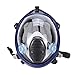 Holulo Organic Vapor Full Face Respirator With Visor Protection For Paint, chemicals, polish welding protection