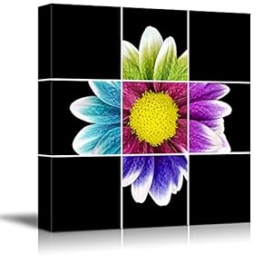 Black Background Flower Theme for Living Room Painting...