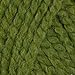 Lion Brand Wool-Ease Thick & Quick Yarn (131) Grass