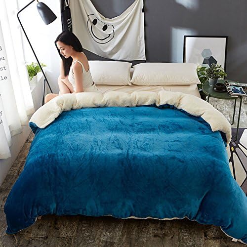 Winter thickened double layer warm coral velvet quilt,Solid color路Flannel thickened double quilt cover Pure color bedroom quilt-E 150x200cm(59x79inch)