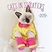 Cats In Sweaters Mini 2019: 16-Month Calendar - September 2018 through December 2019 by 