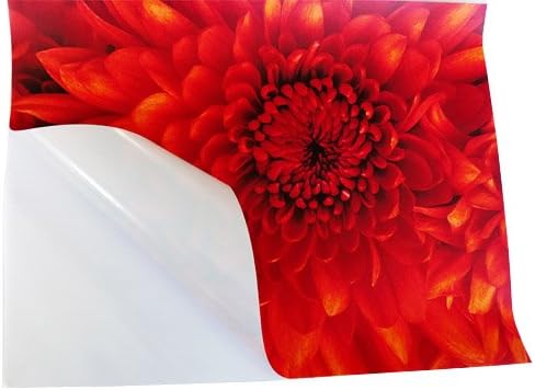 New Arrive Fashion Custom Poster Emilia Clarke Home Wall Decoration Dormitory Wall Art Sticker Printed Poster 20"x30"