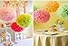 Life Glow 12Pcs Pom Poms of 10