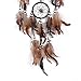 Shell Dream Catcher Handmade Traditional Brown 6.5