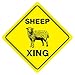 Sheep Crossing Funny Novelty Xing Sign