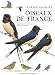 Le grand album des oiseaux de France by