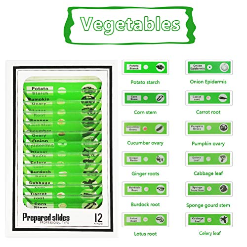 YOTINO 48Pcs Prepared Microscope Slides Specimen Animals Insects Plants Flowers Sample Biological Specimen, Stereo Microscope Slide for Kids Children Students Enlighten Education - Thumbnail 6
