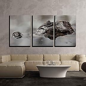 3 Piece Canvas Wall Art - Alligator - Modern Home Art Stretched and Framed Ready to Hang - 16"x24"x3 Panels