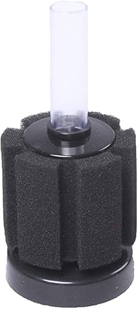 small sponge filter