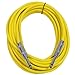 Seismic Audio - SASTSX-25 - 25 Foot TS 1/4