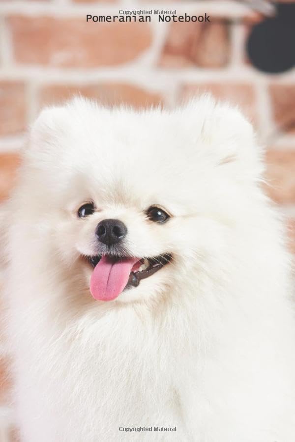 Pomeranian Notebook: Pomeranian notebook blank pages - Journal to write in - 120 pages - 6"x9"