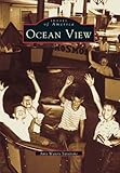 Front cover for the book Ocean View by Amy Waters Yarsinske
