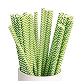 Webake 100 Pack Drinking Paper Straws Striped 7.75 Inch Disposable Replacement Biodegradable (Green)