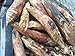 4 Directions Bushcraft Fatwood Pine Lighter Missouri Harvested Natural Waterproof fire Starting Pine Tinder Raw unprocessed