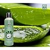 MENFORSAN Champú Perros Aloe Vera - 1 Litro - Imagen 5