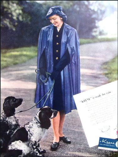 springer spaniel raincoat