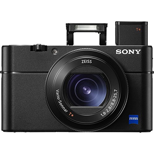 Sony Cyber-Shot DSC-RX100 V Digital Camera + Sony NP-BX1/M8 Battery Spare NP-BX1 Battery, 64gb SDXC 1200x Card, Reader, Case, AC Adapter Bundle Kit - International Version